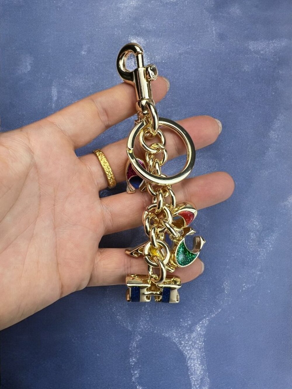 🌸Coach Multicolor Key Holder with Gold Accents - Picture 7 of 8